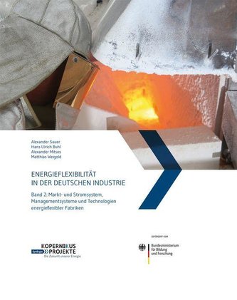 Energieflexibilität in der deutschen Industrie.