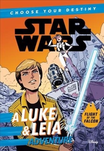 STAR WARS A LUKE LEIA ADVENTURE