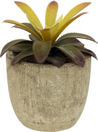 Sukulent v obalu. Květina umělá. NL0030 Art