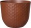Obal Fuente Grains - rusty brown 30 cm