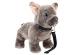 Plyš Francúzsky buldoček s vodítkom 23 cm