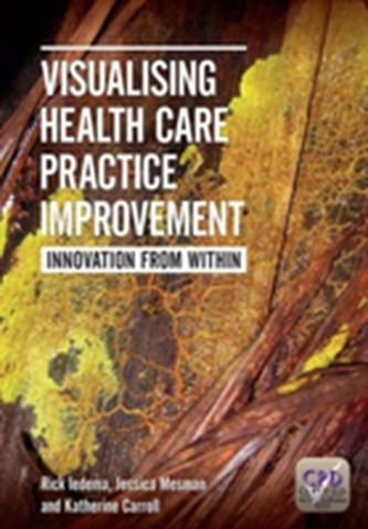 Visualising Health Care Practice Improvement
