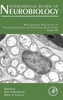Mitochondrial Neuropathies