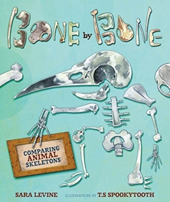 Bone By Bone