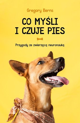 Co myśli i czuje pies