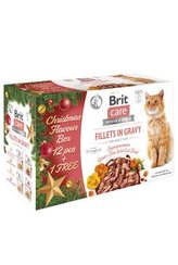 Brit Care Cat Christmas multipack 12+1
