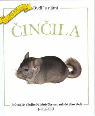 Činčila