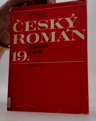 Český román sklonku 19. století