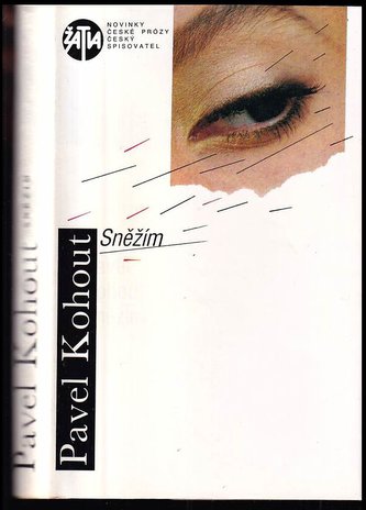 Sněžím