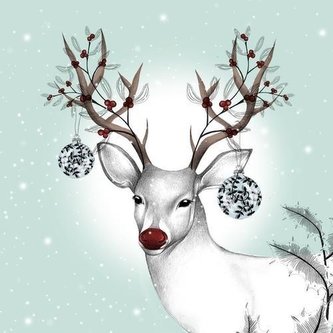 Karnet Swarovski kwadrat CL0802 Święta Biały renif