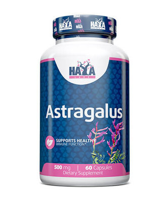 Haya Labs Astragalus 500mg 60 caps