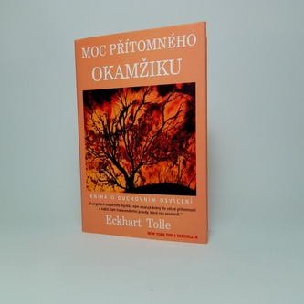 Moc přítomného okamžiku