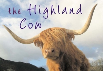The Highland Cow