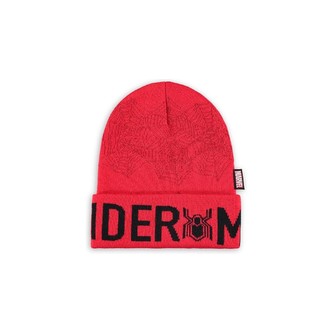 Čepice Marvel - Spider-Man Web Print