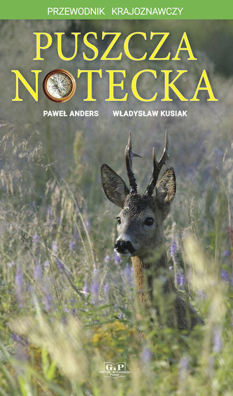 Puszcza Notecka