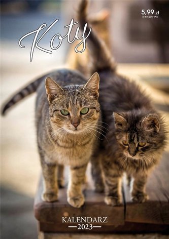 Kalendarz 2023 ścienny Koty