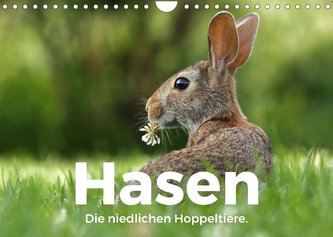 Hasen - Die niedlichen Hoppeltiere. (Wandkalender 2023 DIN A4 quer)