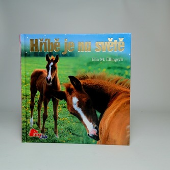 Hříbě je na světě