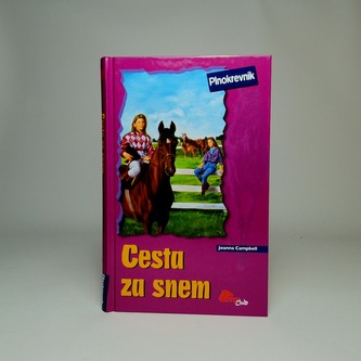 Cesta za snem