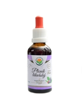 Salvia paradise - Plicník lékařský AF tinktura 50 ml Pulmonaria officinalis