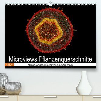 Microviews - Pflanzenquerschnitte (Premium, hochwertiger DIN A2 Wandkalender 2023, Kunstdruck in Hochglanz)