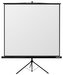 Reflecta TRIPOD Crystal 180x180cm (1:1, 98"/249cm, 176x176cm) plátno stojanové