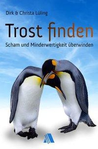 Lüling, D: Trost finden