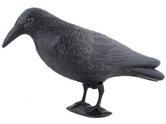 havran maketa na plašenie škorcov a holubov