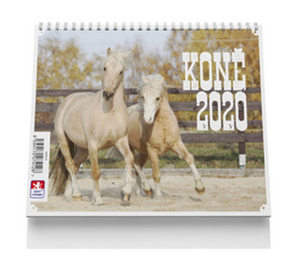 Koně - stolní kalendář 2020