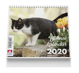 Kočka - stolní kalendář mini 2020