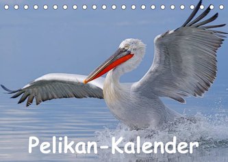 Pelikan-Kalender (Tischkalender 2023 DIN A5 quer)