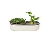 Urbalive Veľká farma Microgreens + Regrow - slonová kosť