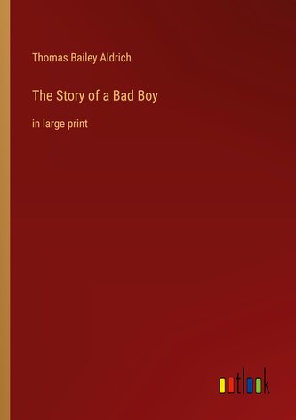 The Story of a Bad Boy