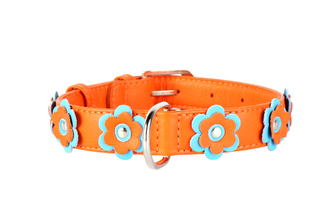 Obojek kožený Glamour Flower - oranžový (21-29cm/12mm)