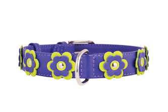 Obojek kožený Glamour Flower - fialový (19-25cm/9mm)