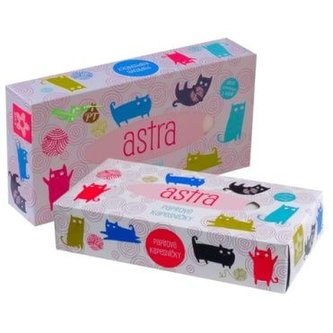 SATINO Papírové kapesníky v krabičce, 2 vrstvy, 100 ks