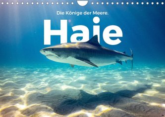 Haie - Könige der Meere. (Wandkalender 2023 DIN A4 quer)