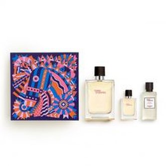 Hermes Terre D´Hermes Dárková sada Toaletní voda 100 ml, After Shave Balsam ( balzám po holení ) Terre D´Hermes 40 ml a miniaturka Terre D´Hermes Toaletní voda 12,5 ml