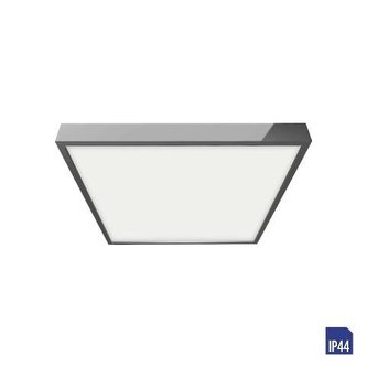 49029 LED Koupelnové stropní svítidlo LENYS 1xLED/12W/230V IP44