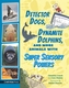Detector Dogs, Dynamite Dolphins, and More Animals with Super Sensory Powers