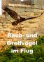 Raub- und Greifvögel im Flug (Wandkalender 2023 DIN A3 hoch)