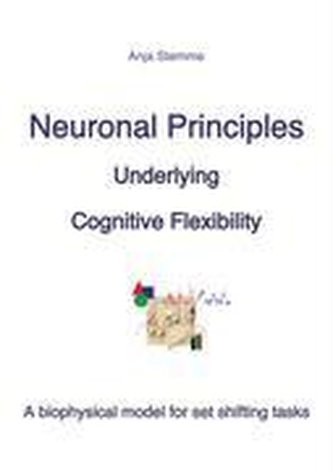 Neuronal principles underlying cognitive flexibility