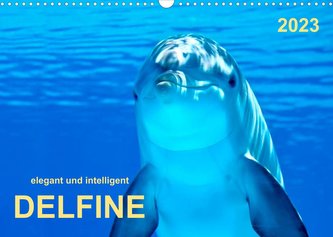 Delfine - elegant und intelligent (Wandkalender 2023 DIN A3 quer)