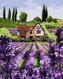 Malowanie po numerach - Lawendowy domek 40x50cm