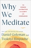 Why We Meditate