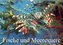 Fische und Meerestiere (Wandkalender 2023 DIN A3 quer)