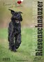 Riesenschnauzer - Riesen mit Herz und Seele (Wandkalender 2023 DIN A3 hoch)