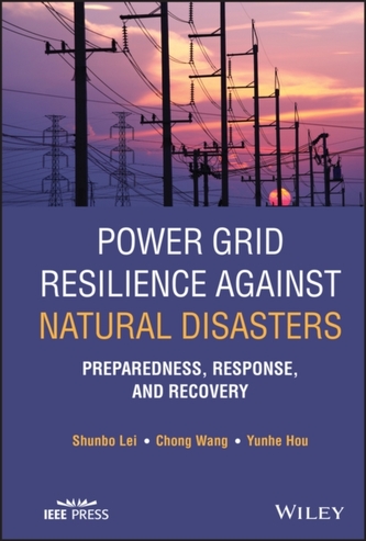 Power Grid Resilience against Natural Disasters - Preparedness, Response, and Recovery