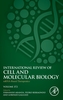 MRNA-Based Therapeutics