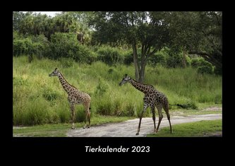 Tierkalender 2023 Fotokalender DIN A3